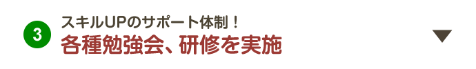 3.スキルUPのサポート体制！各種勉強会、研修を実施