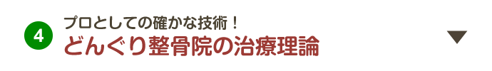 4.プロとしての確かな技術！どんぐり整骨院の治療理論